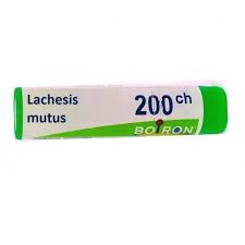 LACHESIS MUTUS 200 CH GLOBULI   BOIRON 